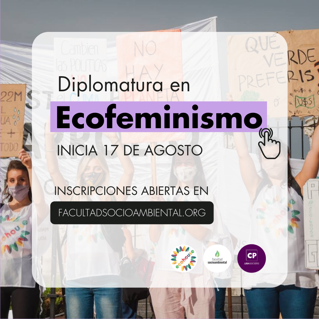 Imagen del artículo