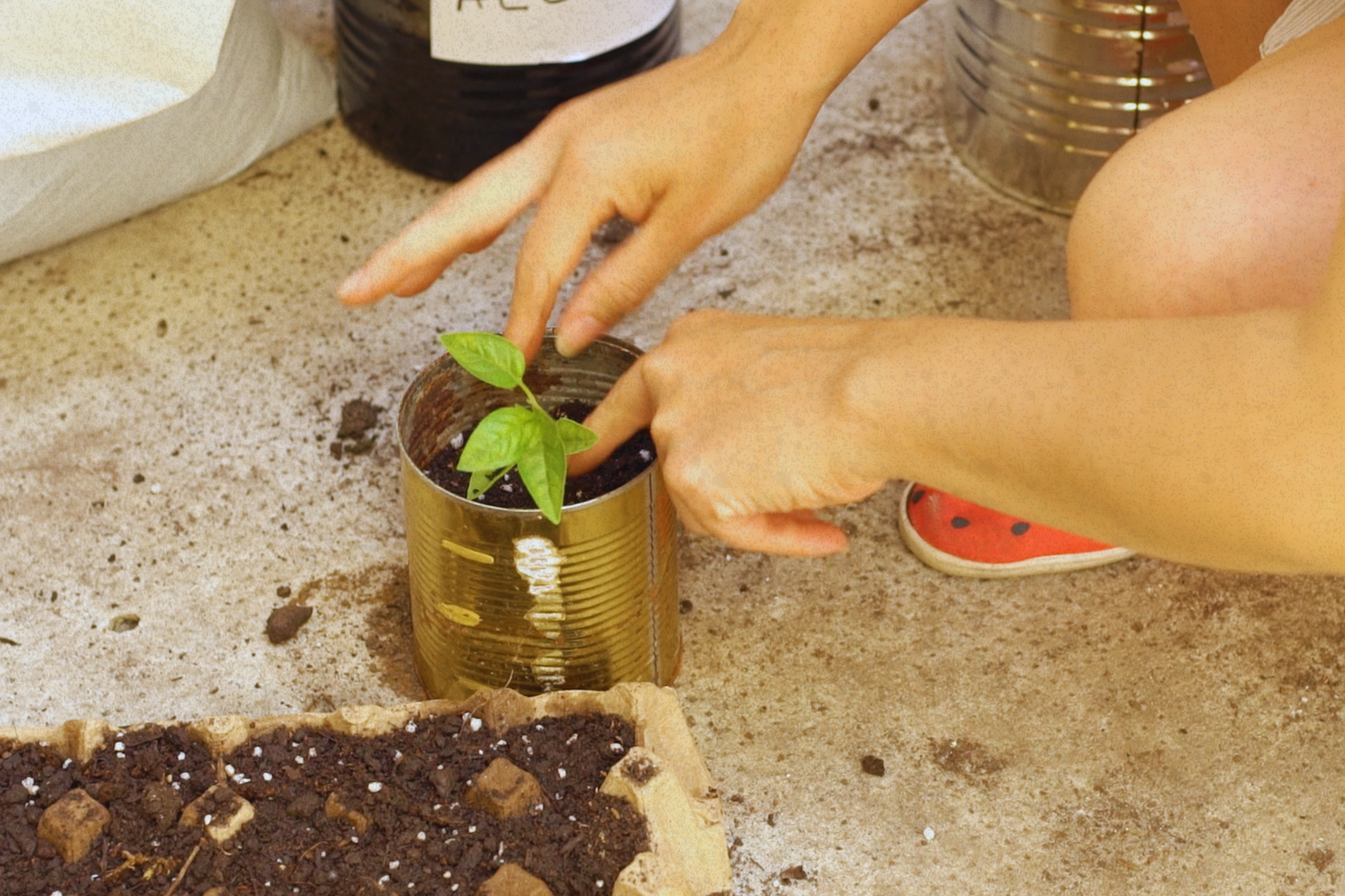 Imagen del artículo